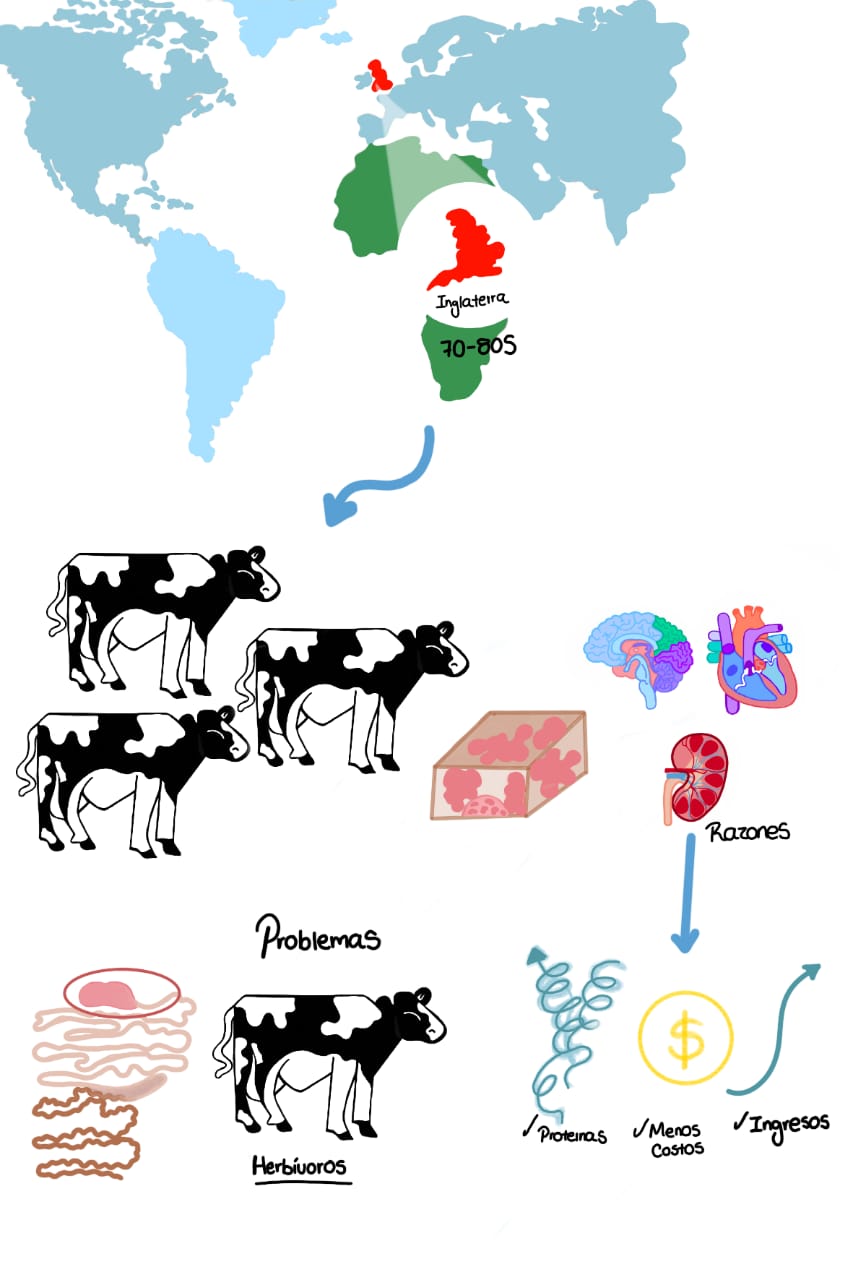 Historia de la enfermedad de las vacas locas